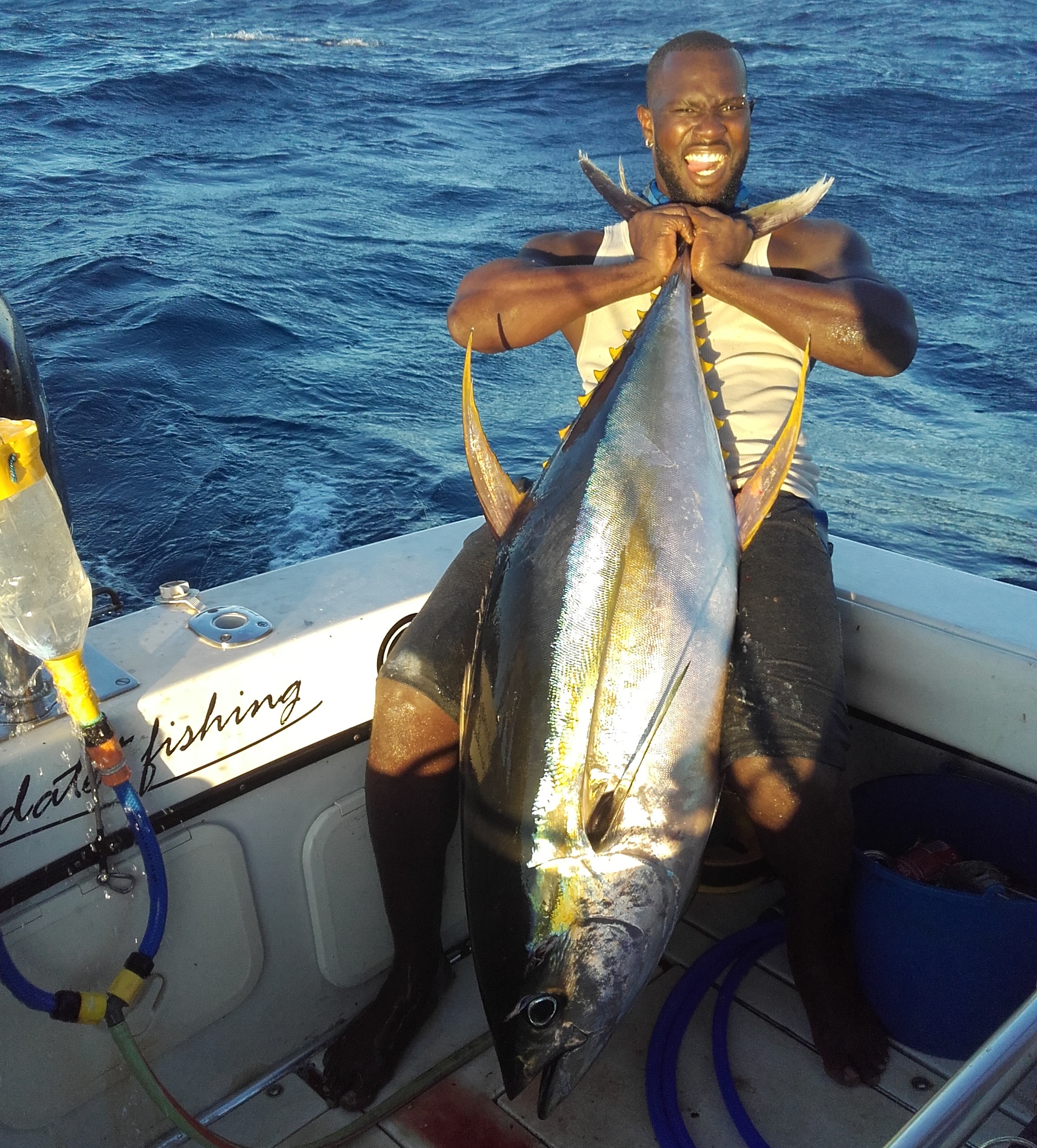Le thon jaune – Julien BROSSEL, Guide de pêche sportive en Guadeloupe