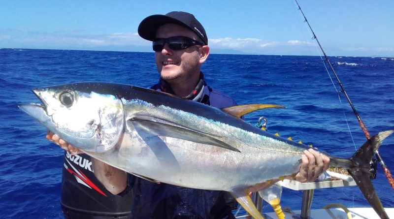 Thon jaune Pêche en Guadeloupe