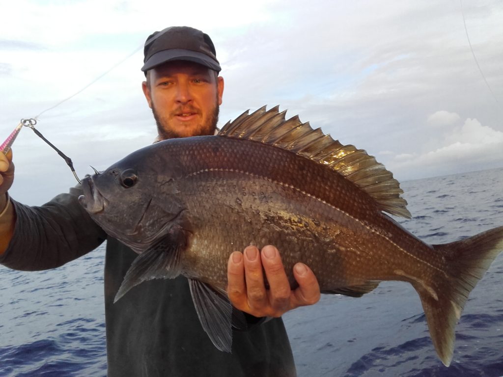 Pêche du Pagre vivaneau noir en Guadeloupe