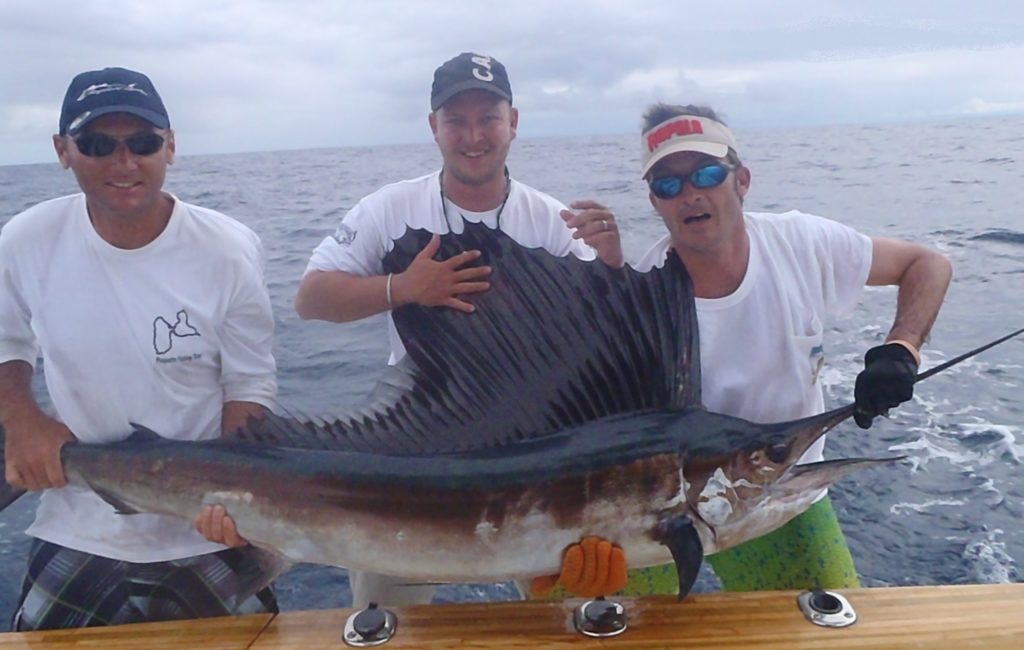 Pêche du Sailfish en Guadeloupe
