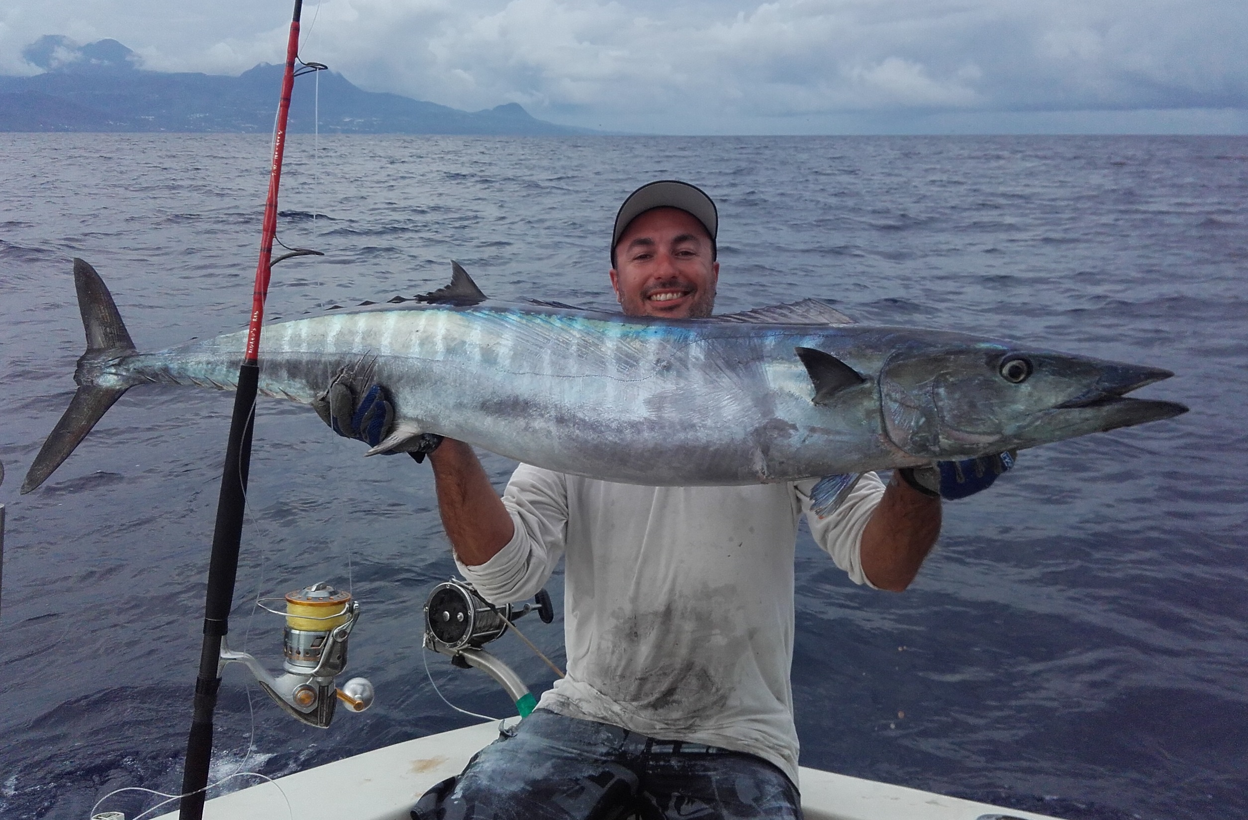 Le wahoo – Julien BROSSEL, Guide de pêche sportive en Guadeloupe