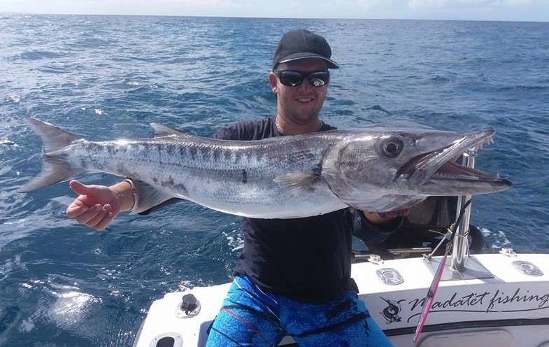 Pêche du Barracuda en Guadeloupe