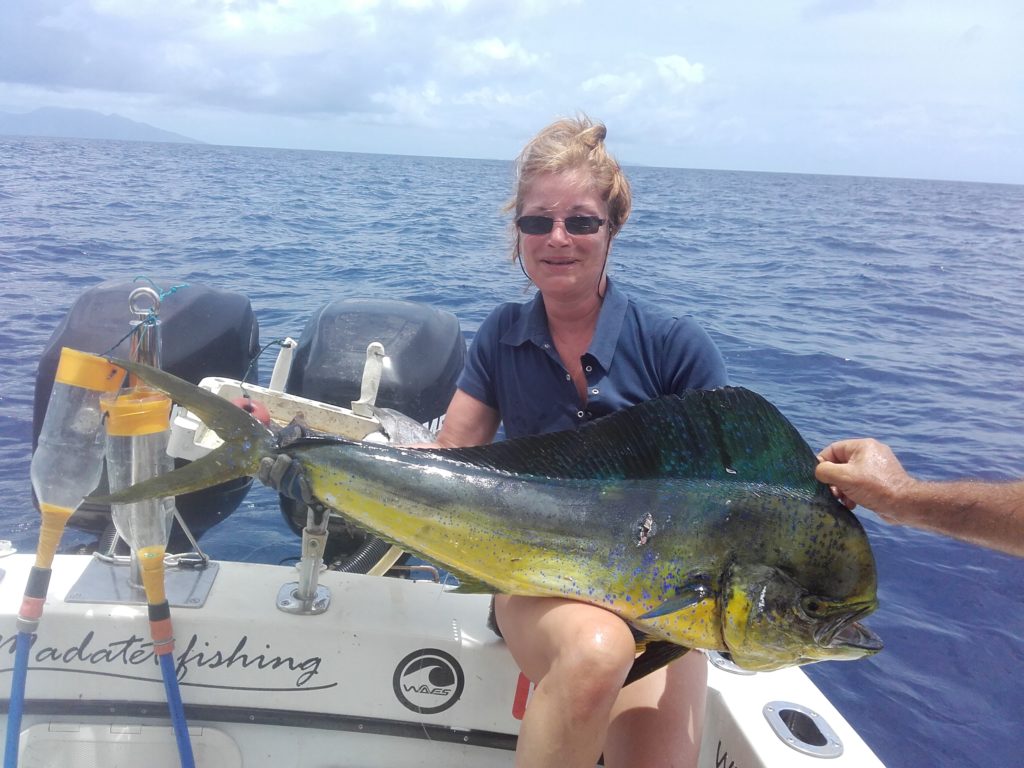 Pêche de la Dorade Coryphène en Guadeloupe