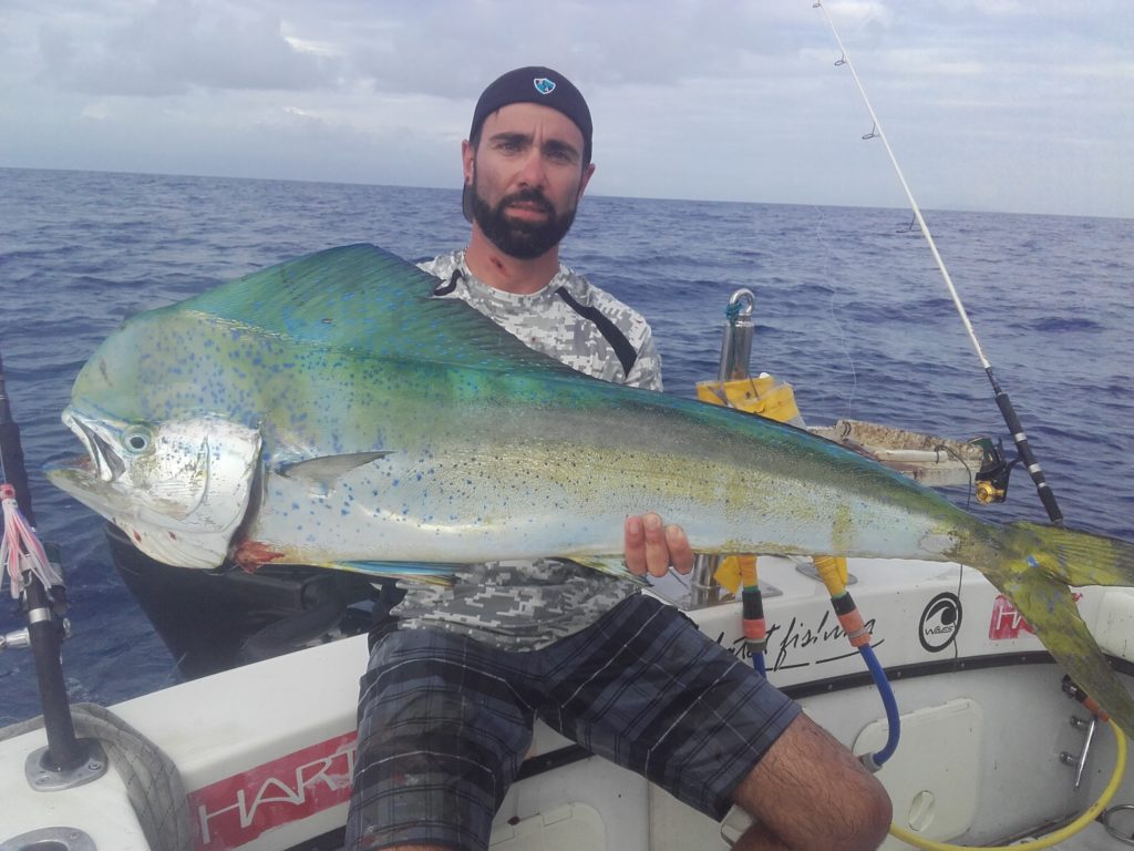 Pêche de la Dorade Coryphène en Guadeloupe