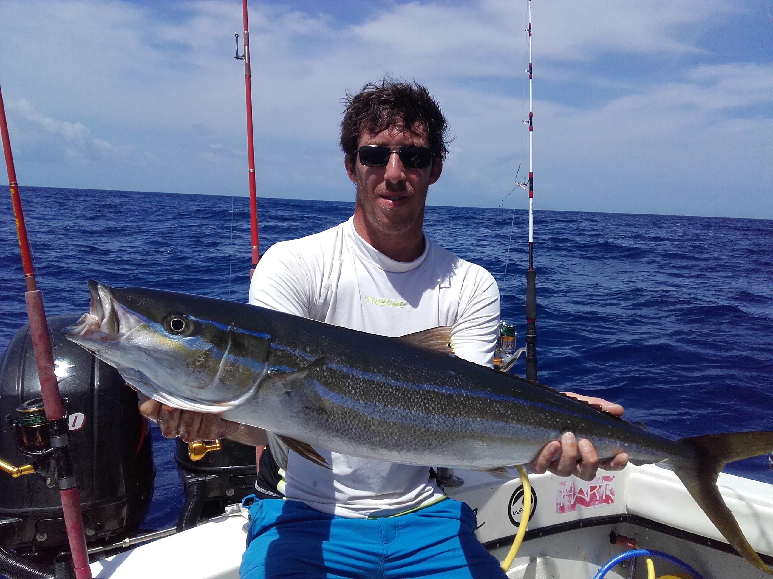 Le colas batard – Julien BROSSEL, Guide de pêche sportive en Guadeloupe