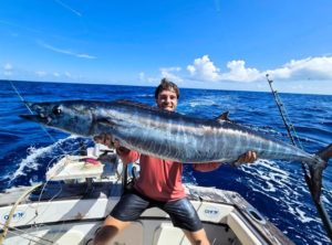 WAHOO pris en traine rapide